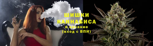 ГАЛЛЮЦИНОГЕННЫЕ ГРИБЫ Алзамай