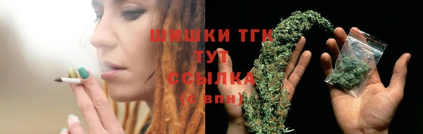 ГАЛЛЮЦИНОГЕННЫЕ ГРИБЫ Алзамай