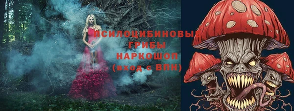 ГАЛЛЮЦИНОГЕННЫЕ ГРИБЫ Алзамай