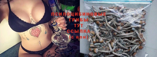 ешки Алексеевка