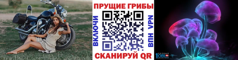 купить наркотики сайты  Собинка  Галлюциногенные грибы мицелий 